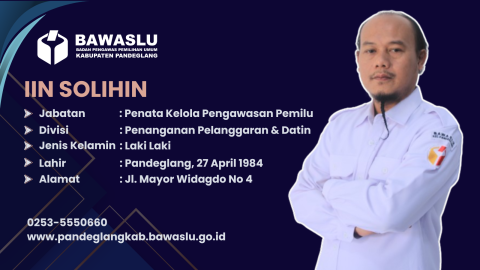 IIN SOLIHIN